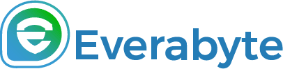 Blog | Everabyte